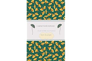 carnet d'écriture: pour écrire son roman (carnet d'écriture pour écrire son roman) (French Edition)