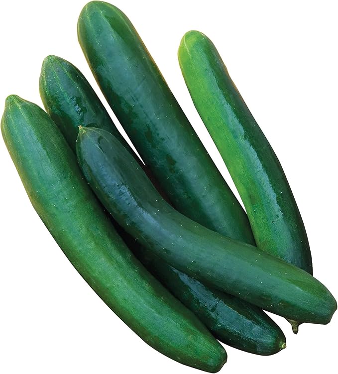 Burpee Sweet Success Slicing Cucumber Seeds 30 seeds