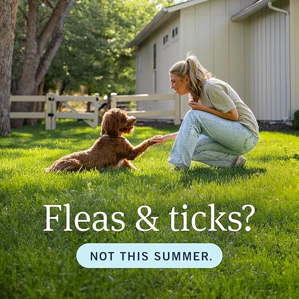 PETARMOR PLUS FLEA AND TICK PREVENTION FOR DOGS, DOG FLEA AND TICK TREATMENT, 6 DOSES, WATERPROOF TOPICAL, FAST ACTING, MEDIUM DOGS (23-44 LBS)