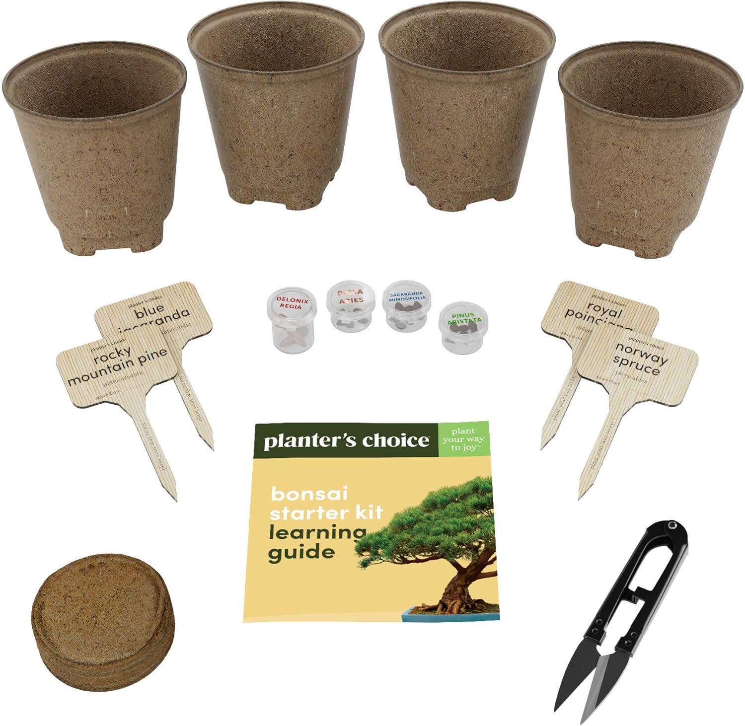 Bonsai Starter Kit The Complete Growing Kit to Easily Grow 4 Bonsai
