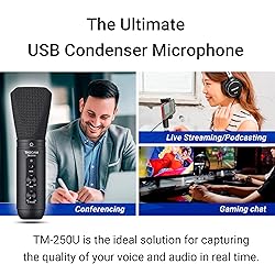 Tascam TM-250U USB Condenser Microphone for