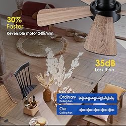 Ceiling Fans with Lights,Modern Low Profile Ceiling