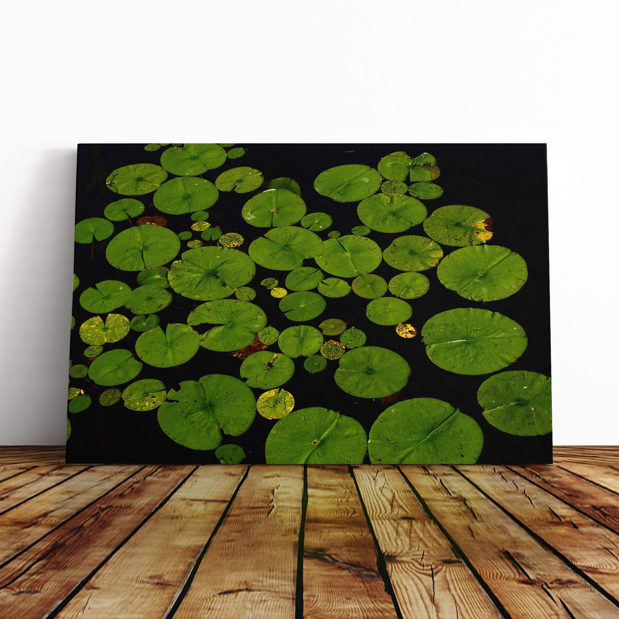 Lily Pad Pond (2) Canvas Print | Gallery Wrapped 30mm Frame Wall Art | 20x14 inches | Ready to Hang | Modern Floral Picture | Living Room Bedroom Lounge Office