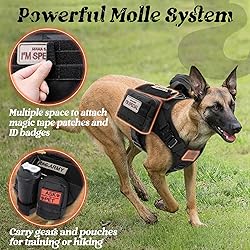 rabbitgoo Tactical Dog Harness for Large, Heavy