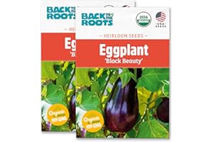 Back to The Roots 100% Organic Heirloom Seeds - Eggplant Value Pack (280mg Total)