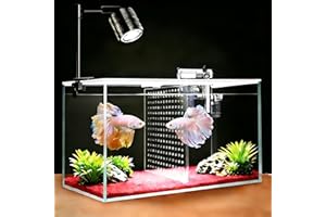 iPriro Fish Tank, 3 Gallon Ultra-Clear Glass Fish Aquarium, with Separator Plate for Betta, Fish Tank Starter kit with Filter and Adjustable Led Light, White