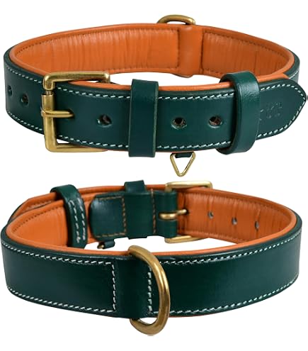 【 Genuine Leather Collar 】 Amazon.com : Genuine Leather Dog Collar Green 7 Sizes (14