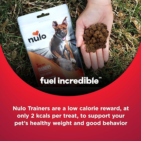NULO FREESTYLE GRAIN-FREE HEALTHY DOG AND PUPPY TRAINING TREATS, LOW CALORIE TREATS MADE WITH SUPERFOOD BOOST INGREDIENTS, 2 CALORIES PER TREAT , 4 OUNCE (PACK OF 1)