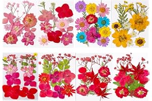 LMJIA 96 Pcs Dried Flowers, Pressed Dried Flowers for Nails, Pressed Flowers for Crafts, Dried Flowers for Resin Molds, Candle Making, Makeup, Soap Making