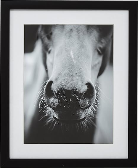 black and white framed horse pictures