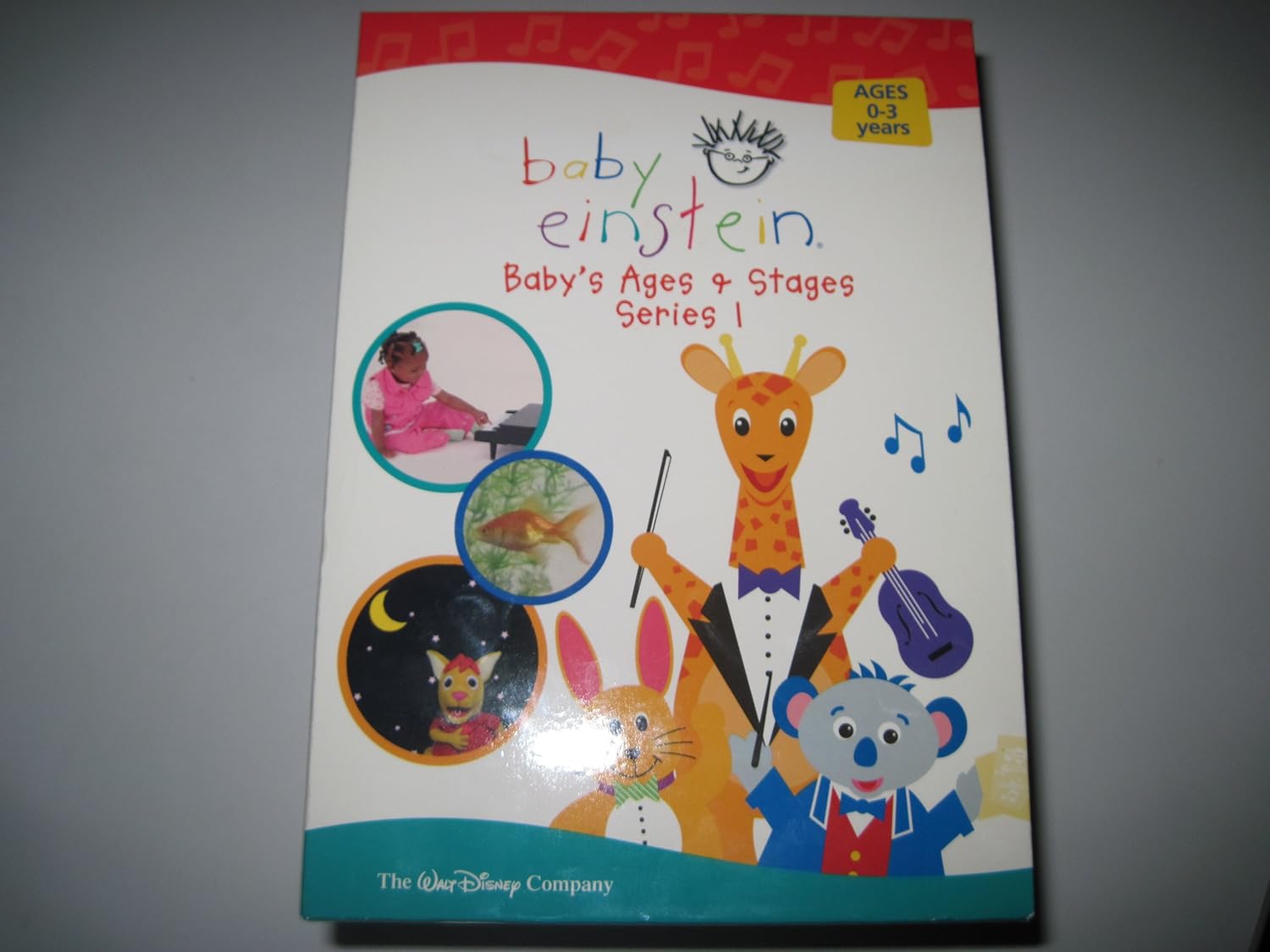 Baby Einstein Baby's Ages & StagesSeries 1 (6 DVD Set