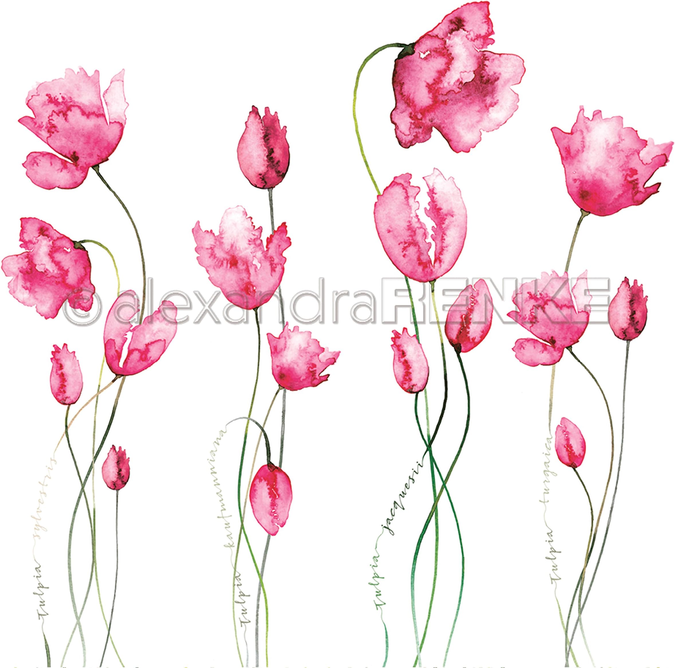 Alexandra Renke Flowers Paper 12"X12"-Many Pink Tulips