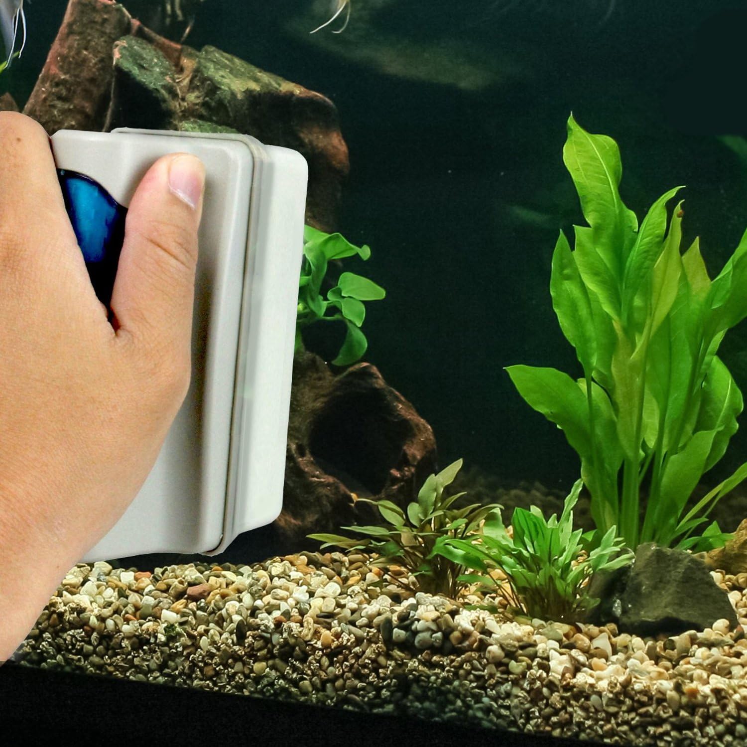 Petzilla Magnetic Algae Scraper, Aquarium Cleaning Scrubber for Fish Tank (Small) : Pet Supplies