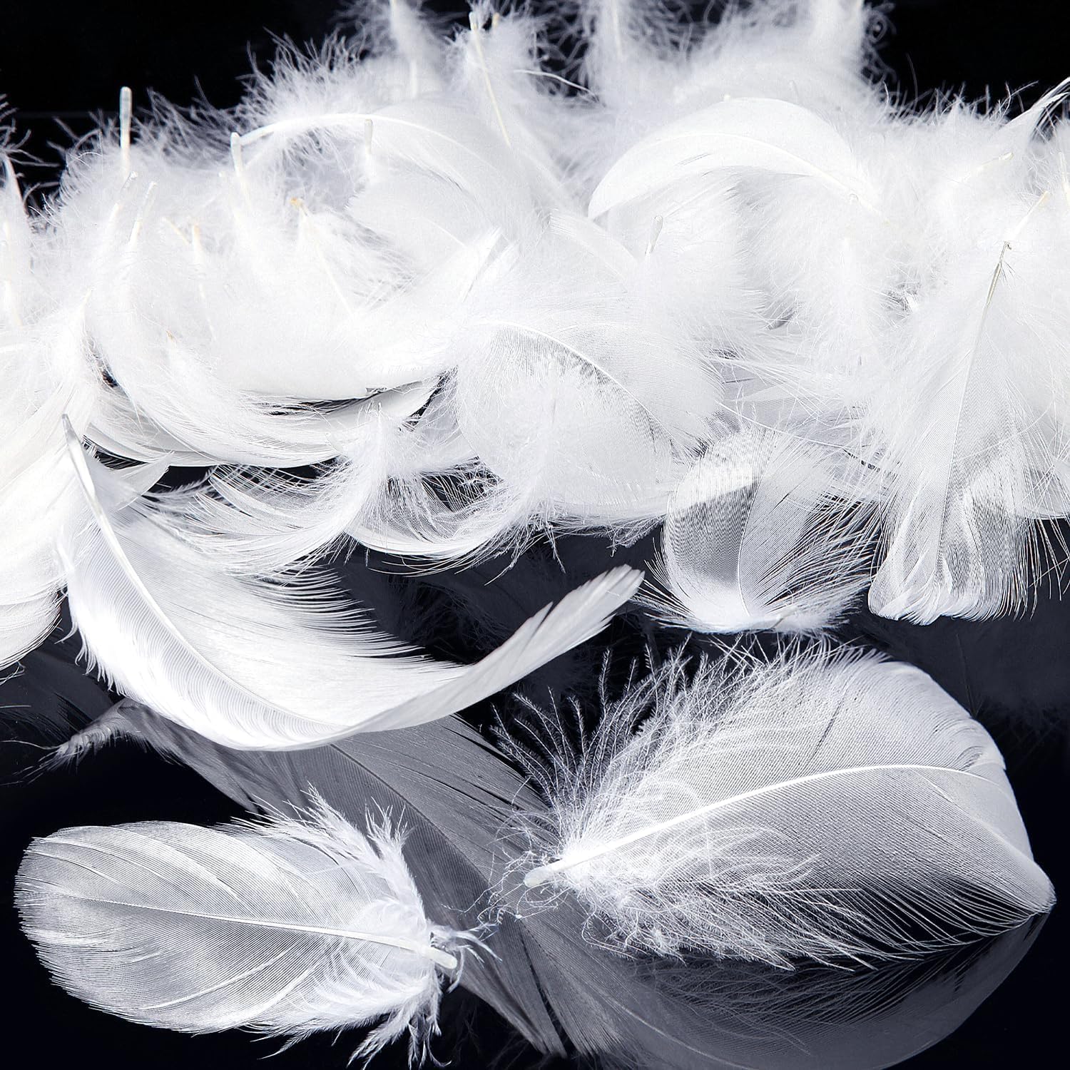 Mbsomnus Feathers for Crafting, 600 Pcs White Feathers Natural Craft Feathers 5-12 cm Feathers for DIY Crafts Dream Catcher Earrings Headdress Feather Flowers Wedding Party Holiday Decoration