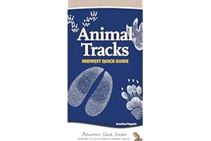 Animal Tracks of the Midwest: Your Way to Easily Identify Animal Tracks (Adventure Quick Guides)