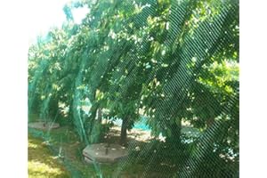 CandyHome 13Ft x 33Ft Anti Bird Protection Mesh Garden Netting Seedlings Plants Flowers Fruit Trees Vegetables from Rodents Deer Reusable Fencing, Green