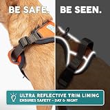Embark Pets No-Pull Dog Harness Front & Back Leash Clips Adjustable Paw view 8
