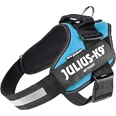 Julius-K9, 16IDC-AM-1, IDC Powerharness, Dog Harness, Size: 1, Aquamarine