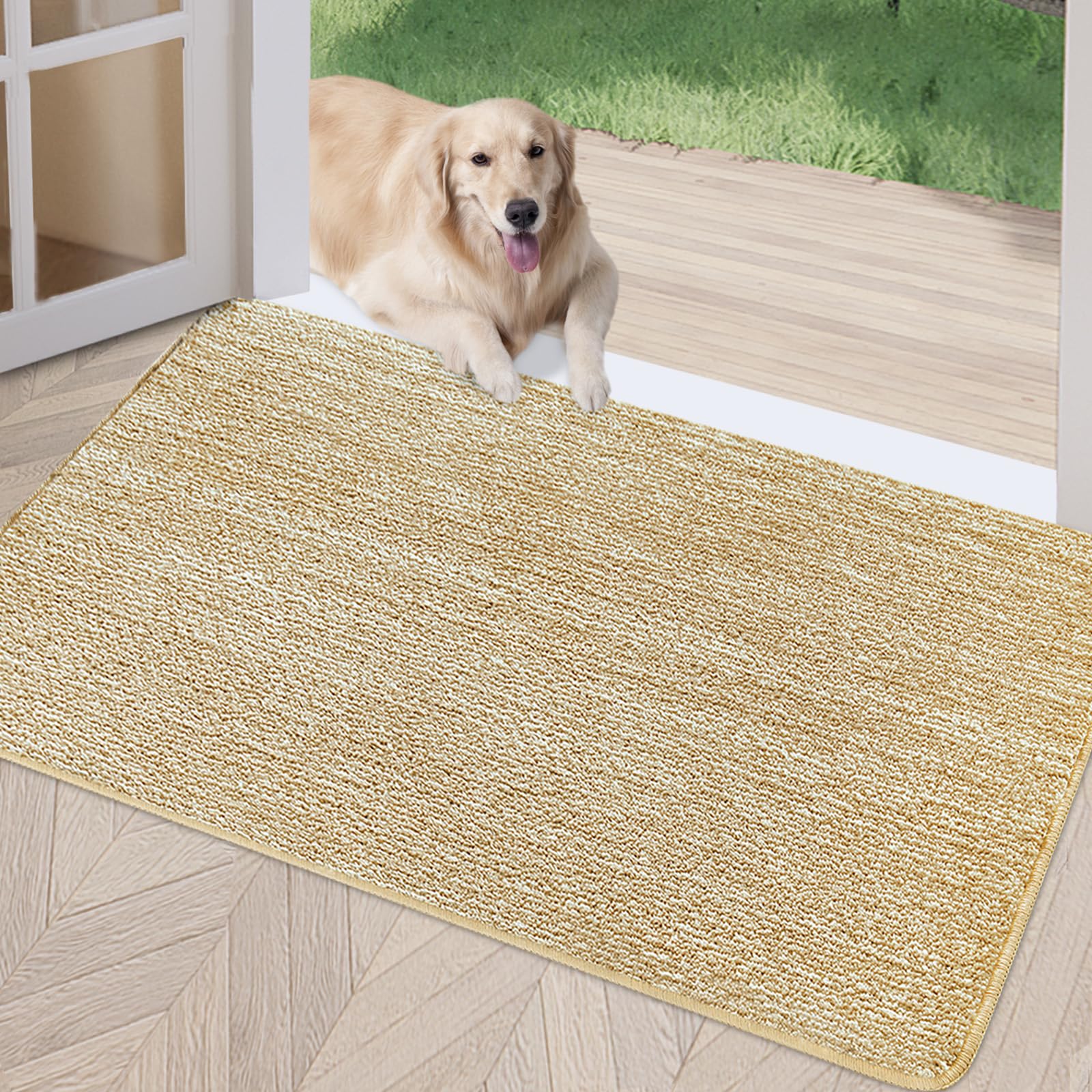 REFETONE Indoor Doormat, Front Door Mat 32