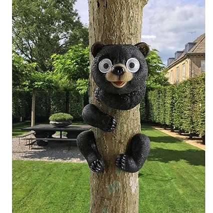 Backyard Birding Wildlife Birds Fun Old Man Tree Sculpture Yard