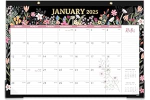 FRASUKIS Desk Calendar 2025, 2025 Desk/Wall Calendar, January - December 2025 Calendar, 12'' x 17'', Calendar 2025 12 Month Large Ruled Blocks