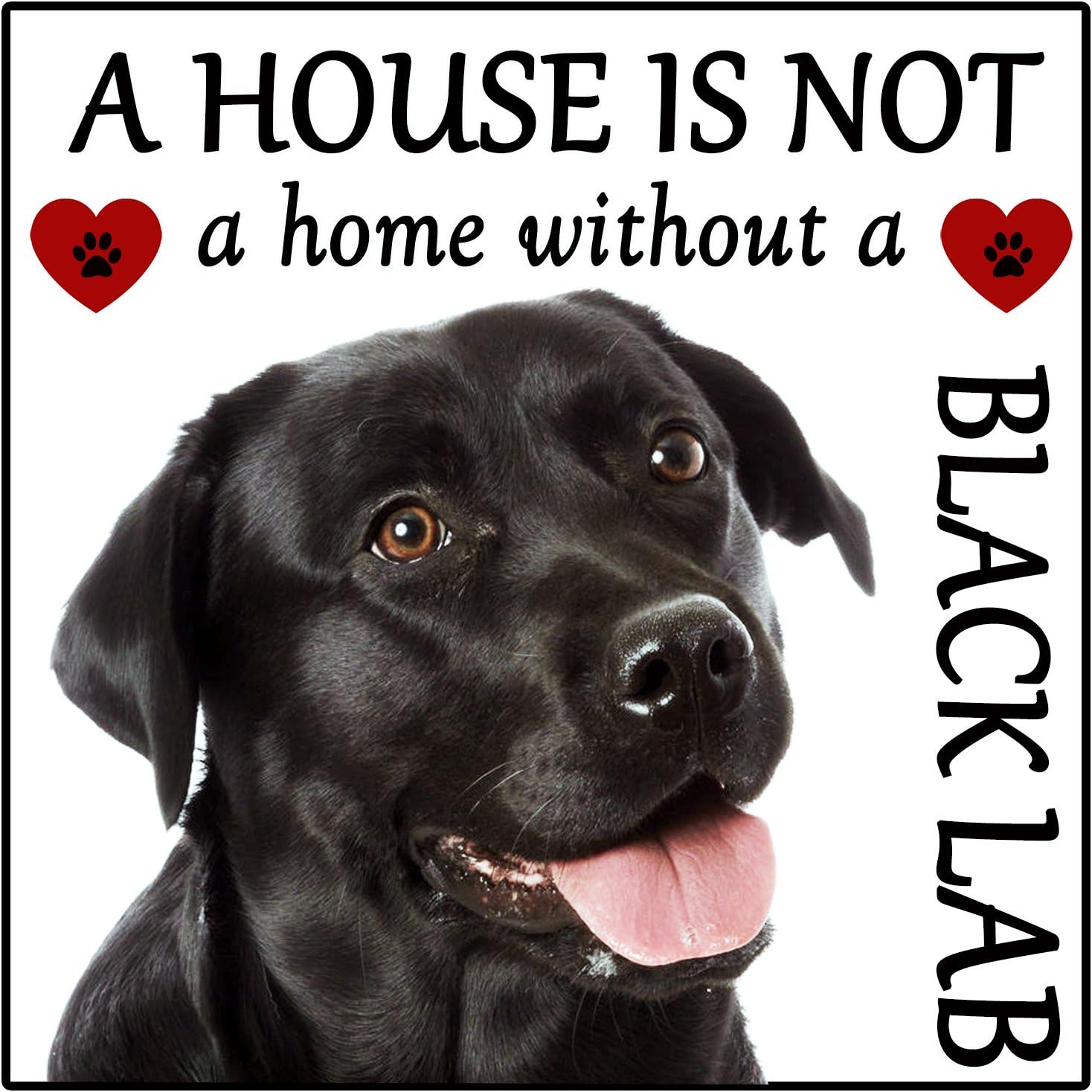 Labrador Black Lab Dog Gift"House is not a Home" Fridge Magnet, size 5" x 5".