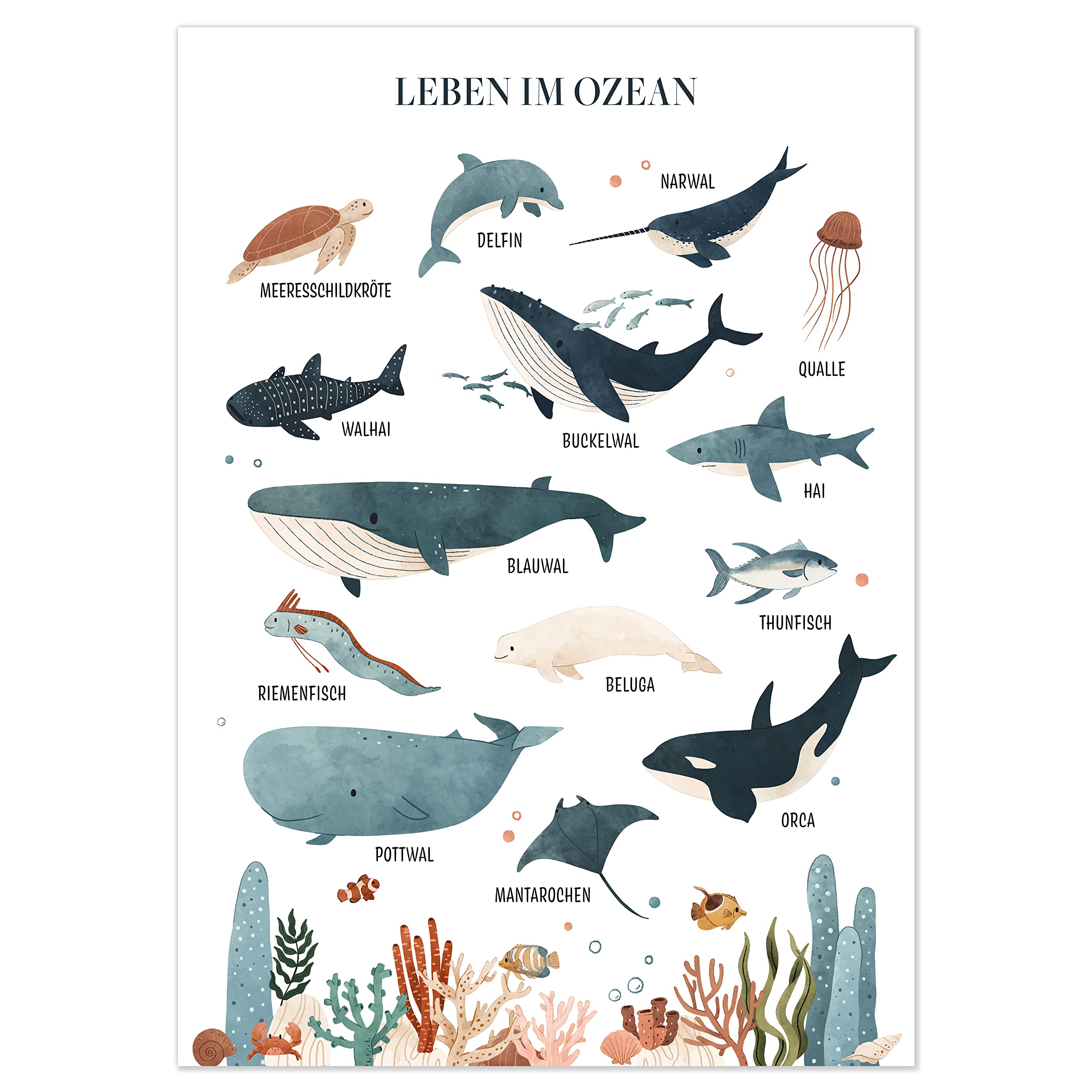 kizibi® Underwater World Learning Poster for Children's Rooms - Detailed DIN A2 Poster of the Sea & Ocean with 14 Illustrated Sea Creatures - Perfect for Education & Decoration