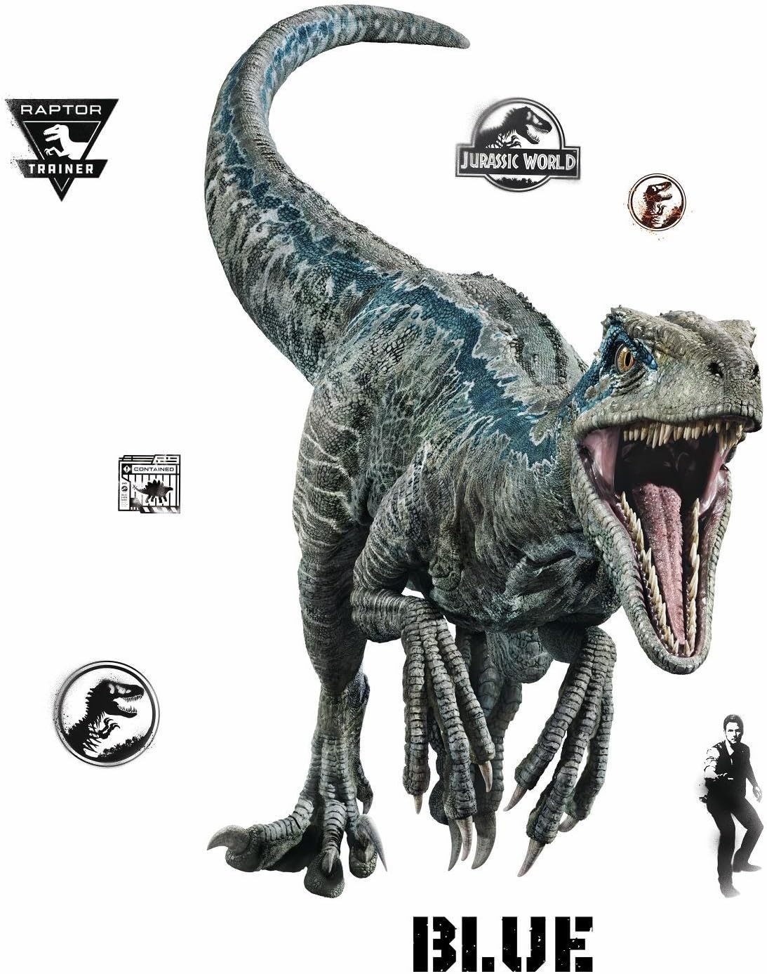 Download Amazon Com York Wallcoverings Jurassic World Blue Velociraptor Giant Wall Decals Dinosaurs Stickers Decor Home Kitchen