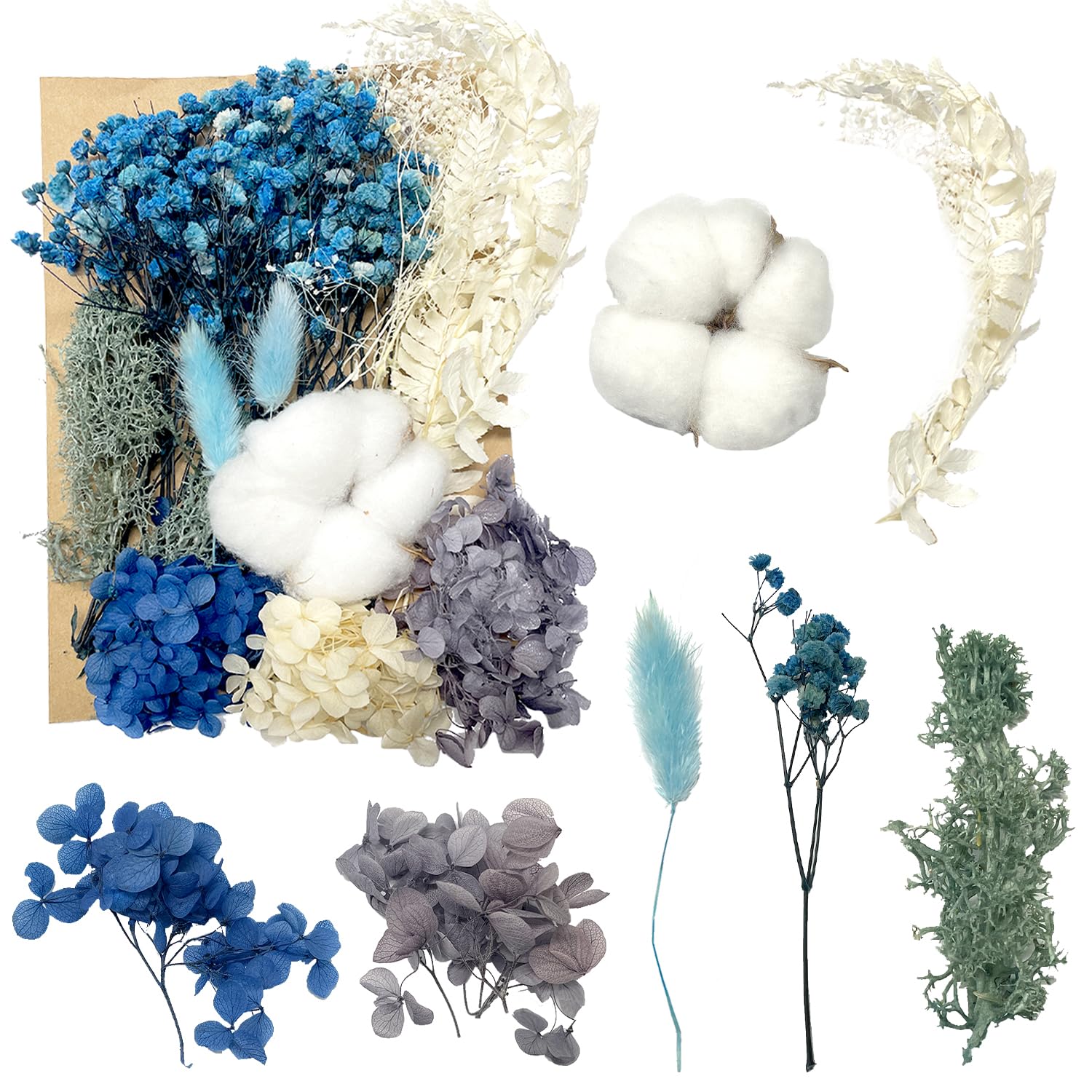 Dried Flowers, Pressed Flowers Dry Flowers Dried Flowers Crafts for Diy Arts Resin Scrapbooking Jewelry Making Floral Decorations（Blue）