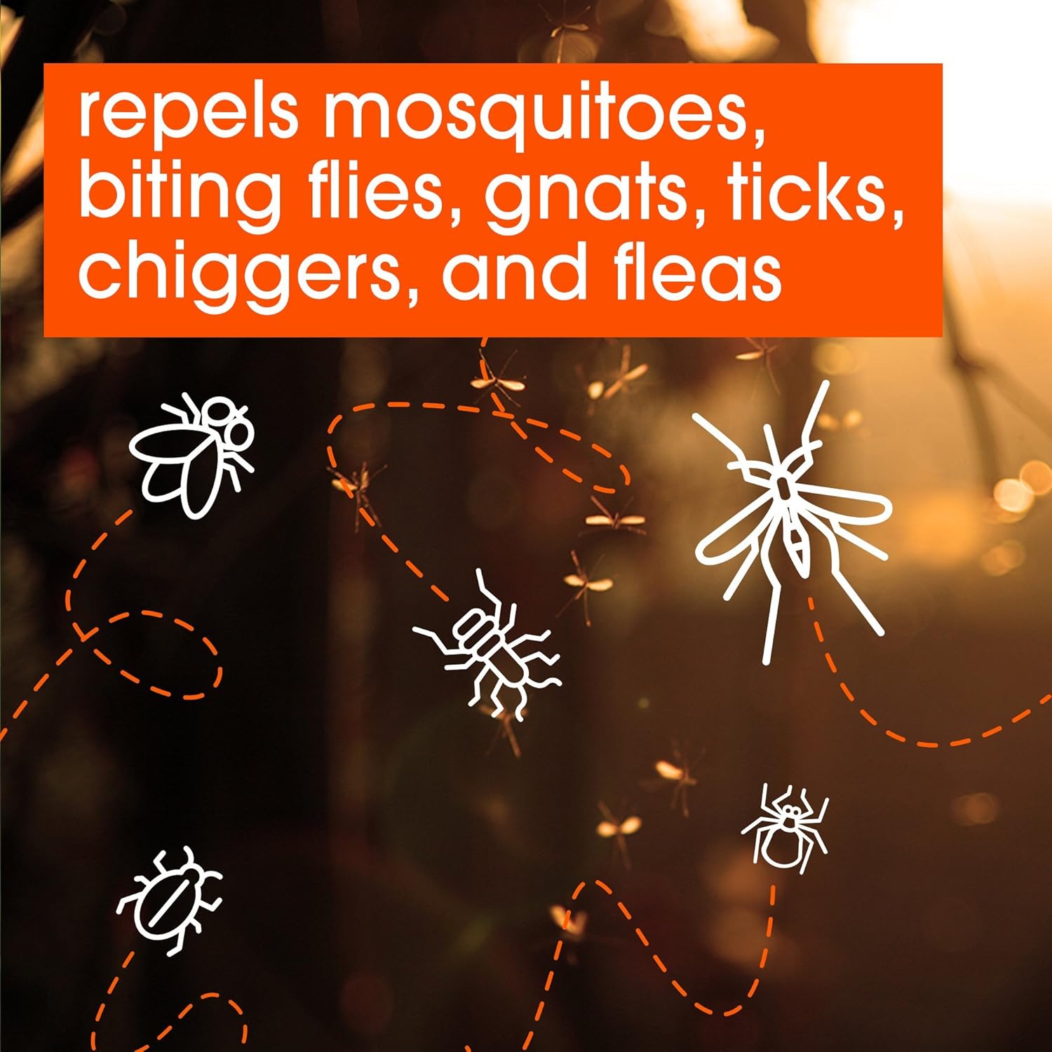 OFF! Family Care Insect & Mosquito Repellent I, Smooth & Dry Bug Spray for the Beach, Backyard, Picnics and More, 4 oz. (Pack of 2): Health & Personal Care