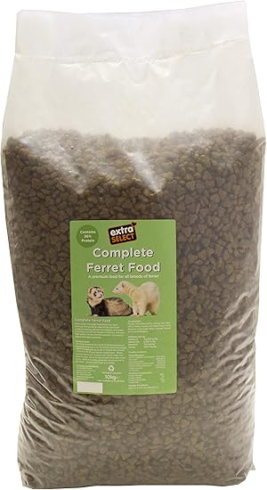 dry ferret food
