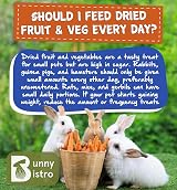 Bunny Bistro Flaked Peas 1kg Natural Dried Pea Flakes Small Animal view 4