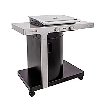  Gas-Grillstation Char-Broil THIN 2-flammig silber Edelstahl groß Garten ✔ Lenkrollen mit Bremse ✔ Deckel ✔ Seitentische beidseitig ✔ eckig ✔ rollbar ✔ stehend grillen ✔ Grillen mit Gas ✔ mit Station ✔ mit Rädern 