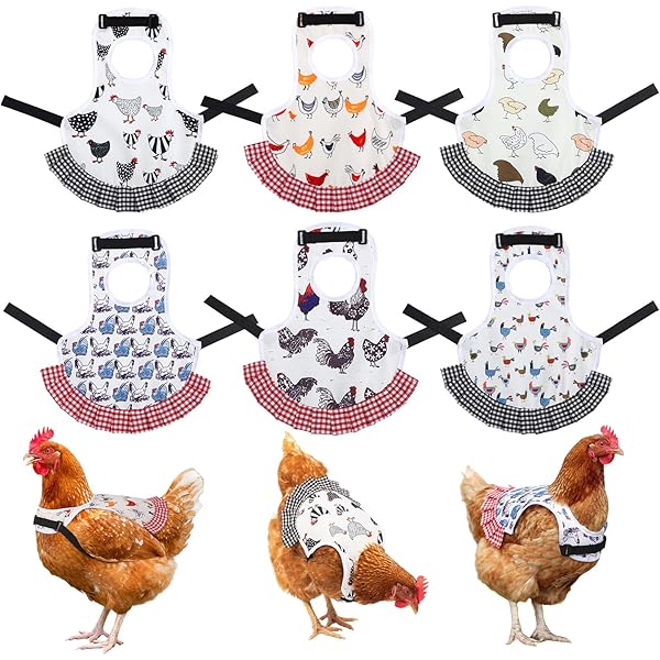 CHICKEN SADDLE | Chicken Apron | HEN Protector | Waterproof Canvas - View #13