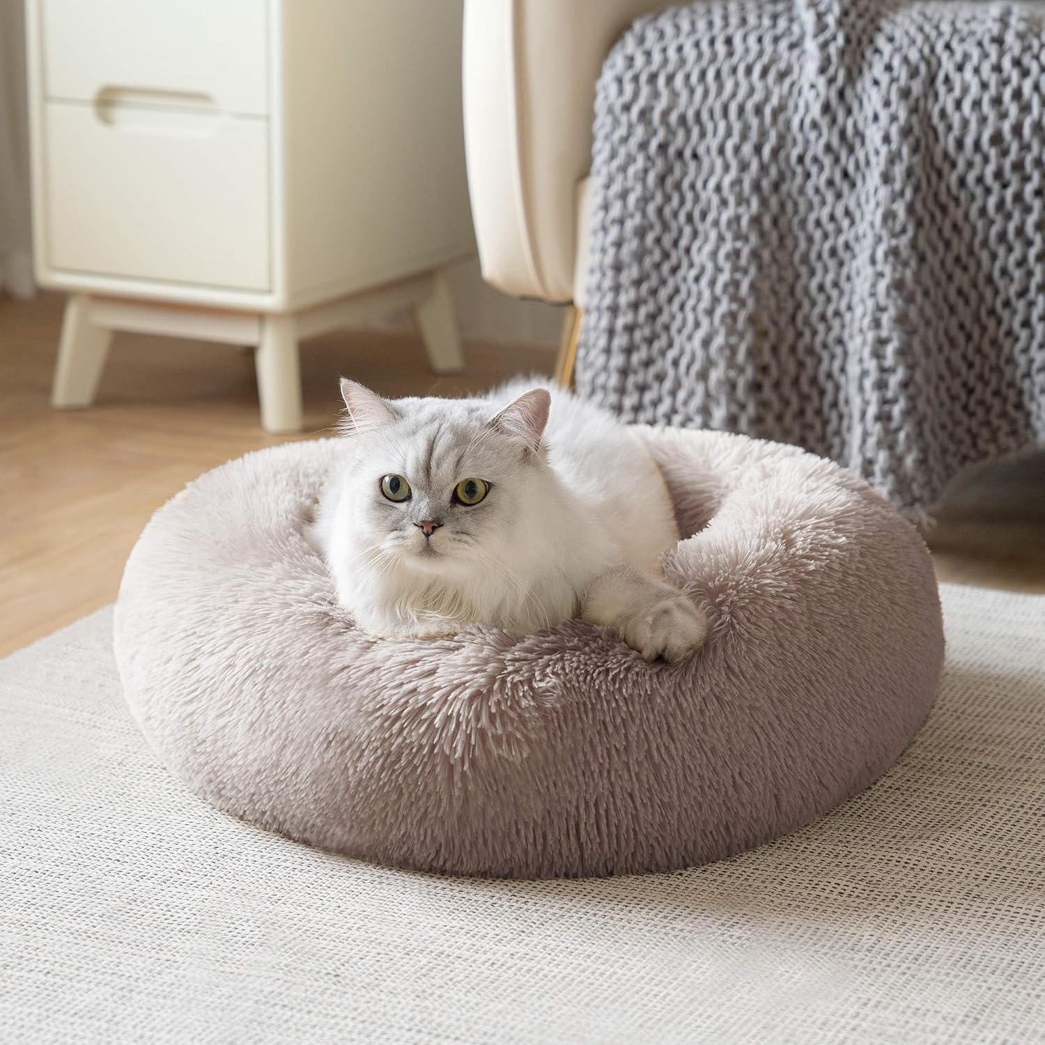 Love's cabin 20in Cat Beds for Indoor Cats - Cat Bed with Machine Washable, Waterproof Bottom - Taupe Fluffy Dog and Cat Calming Cushion Bed for Joint-Relief and Sleep Improvement : Pet Supplies