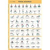 SPORTAXIS Yoga Poses Poster- 64 Yoga Asanas For Full Body Workout- Laminated Home Workout Poster With Colored Illustrations - English And Sanskrit Names