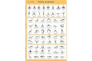 SPORTAXIS Yoga Poses Poster- 64 Yoga Asanas For Full Body Workout- Laminated Home Workout Poster With Colored Illustrations -