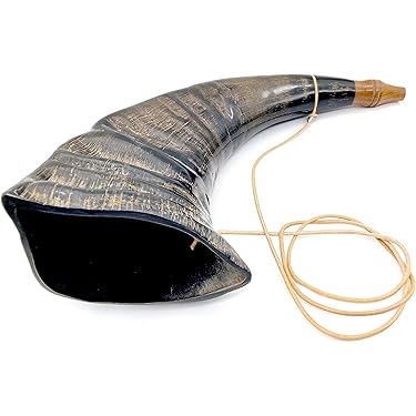Amazon Best Sellers: Best English Horns