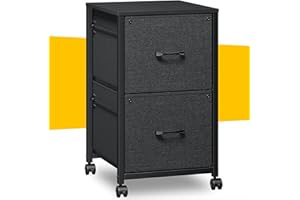 Raybee Filing Cabinets for Home Office 2 Drawer Fabric File Cabinet Small Rolling File Cabinet Printer Stand Lateral Filing Cabinets Fits A4 Letter Legal Size, Black