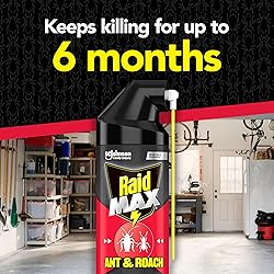 Raid Max Ant and Roach Spray