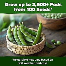 HOME GROWN - Snap Pea Seeds for Planting