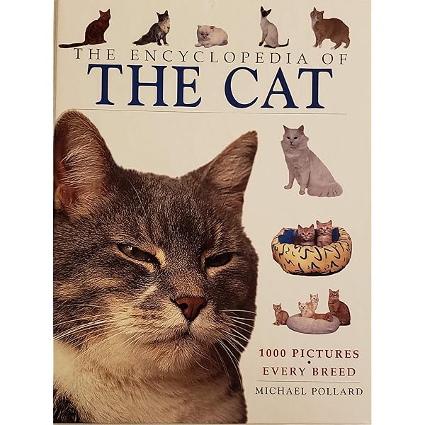 Encyclopedia Of Cats: Frith-Macdonald, Candida: 9781407524375
