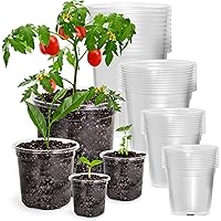 Bluepro 36 Packs 6.7/5/4/3.5 Inch Reinforced Clear Nursery Pots with Drainage Hole, Transparent Variety Pack Plastic Plant Po