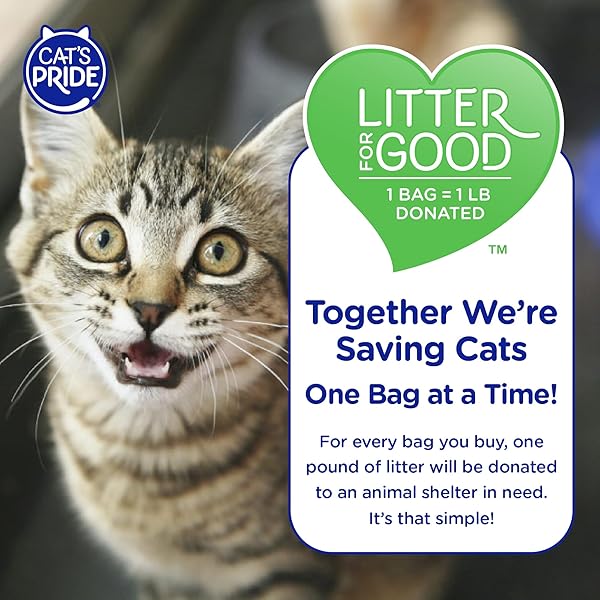 CAT’S PRIDE NEW ANTIBACTERIAL CAT LITTER: DESTROYS 99.9% OF ODOR-CAUSING BACTERIA – POWERFUL ODOR CONTROL – PREMIUM LIGHTWEIGHT CLUMPING LITTER – SCENTED, 18 POUNDS