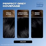Clairol Lasting Colour Permanent Hair Dye Black 2 | Grey Coverage & Shine view 4