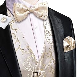 Hi-Tie Mens Suit Vest Bowtie Set Ties for Men V