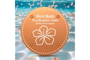 OICEME Bird Bath Purification Disc Pure Copper Backyard Outside Solar Power Wild Hummingbird Pedestal Fountain Cleaner Outside Humming Feeder Cage Dispenser Heater Ground Safe Garden Deal Lover Women Gift