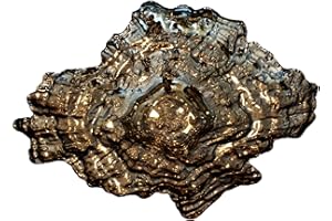 Red Pomegranate 1618-2 Centerpiece Bowl, One Size, Platinum