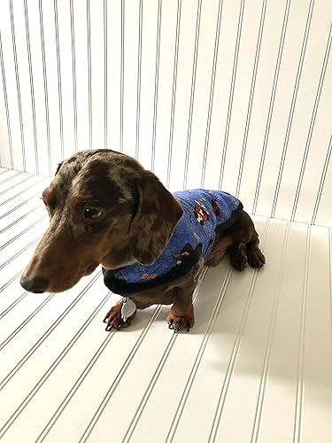 sweater with dachshund on it