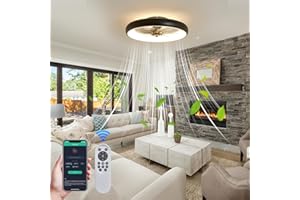 Oyisen Black Ceiling Fan with Light, 20 Inch Low Profile Ceiling Fan with Light Dimmable Fandelier Ceiling Fan with Light Two Ways Control Flush Mount Ceiling Fan with Lights for Bedroom